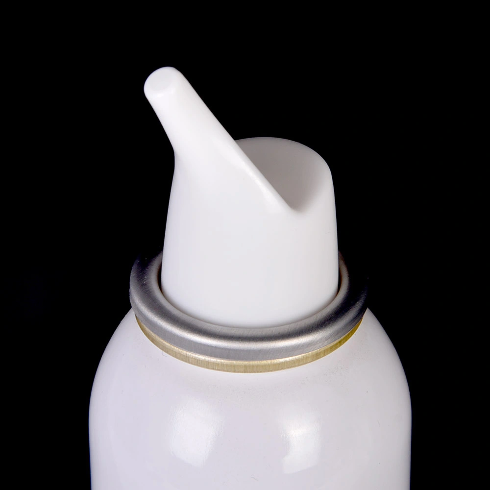 Fabricante de Bag On Valve